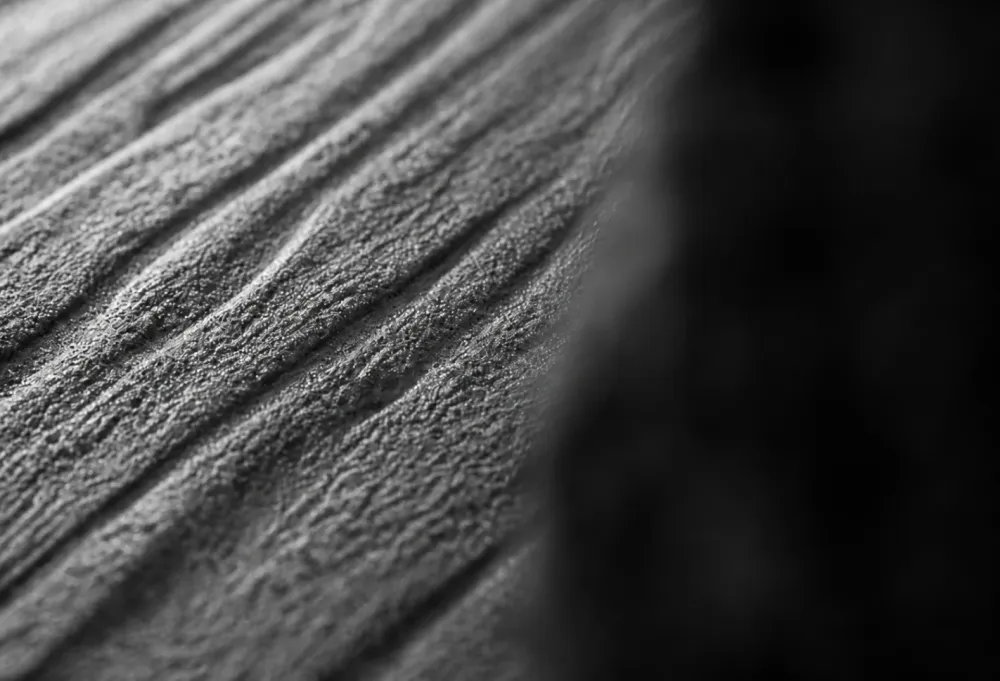 纯净物理专线光纤传输纹理